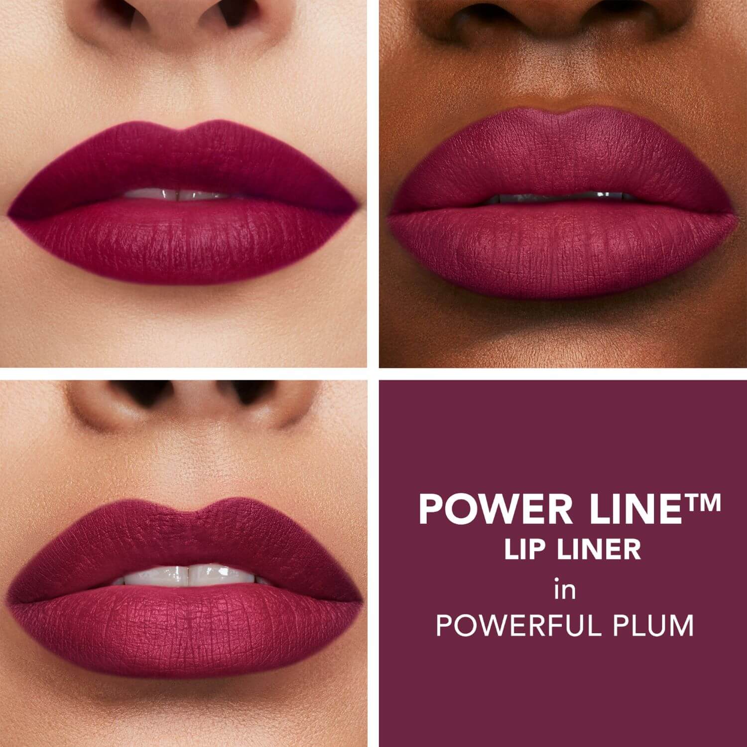 POWER LINE LIP LINER (DELINEADOR DE LABIOS)